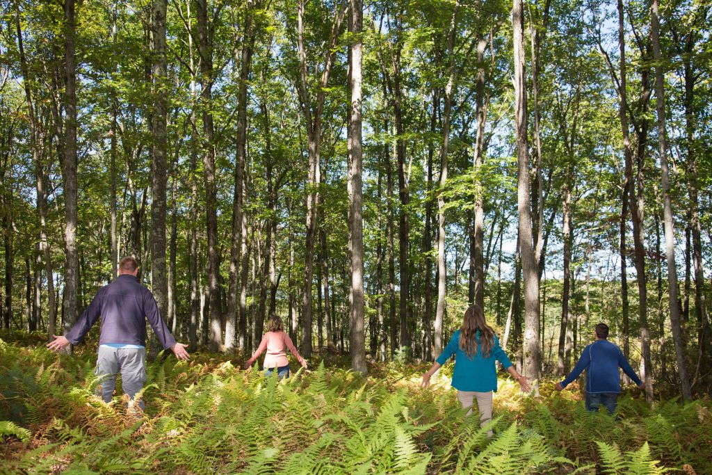 Forest bathing at The Lodge at Woodloch