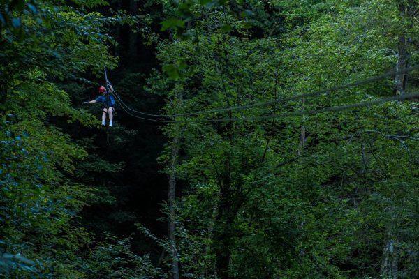 Adventures on the Gorge treetops