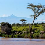 Mount Kenya luxury safari experience